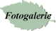 Fotogalerie