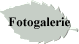 Fotogalerie